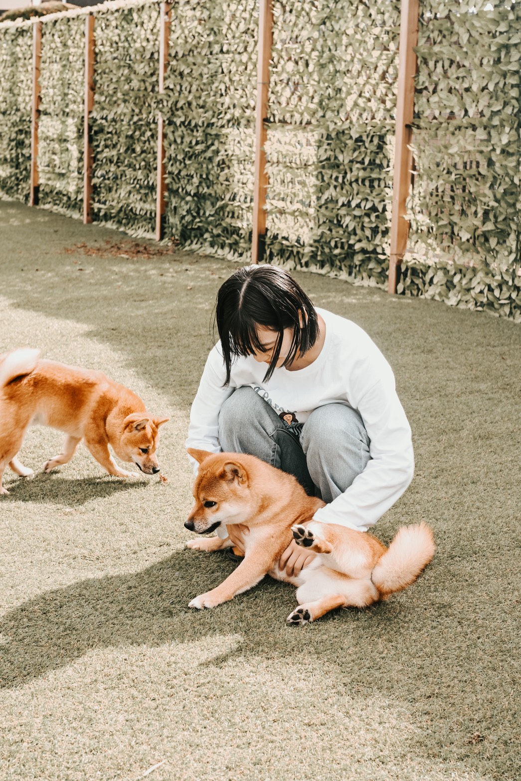 犬と戯れている女性